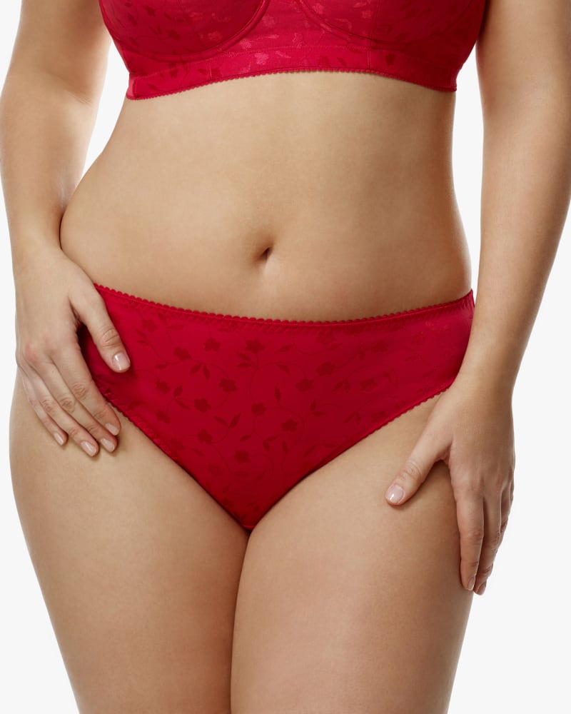 Front of plus size Jacquard Panty by Elila | Dia&Co | dia_product_style_image_id:151444